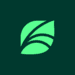spring-health-logo